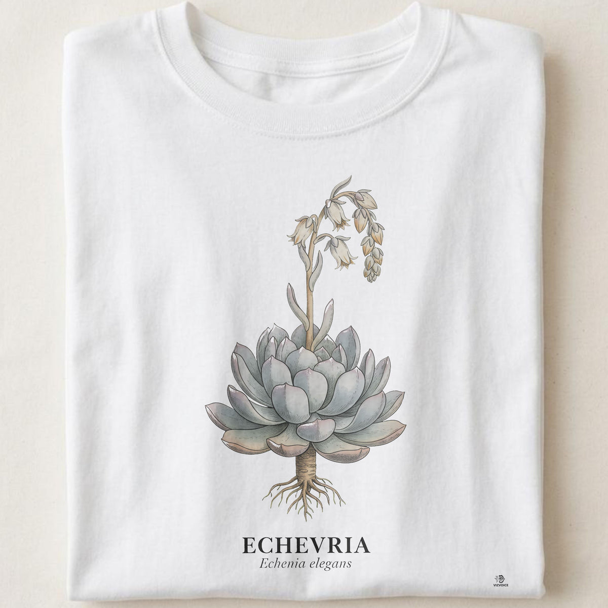 Echeveria Botanical Art T-Shirt | Vintage Botanical Elegance