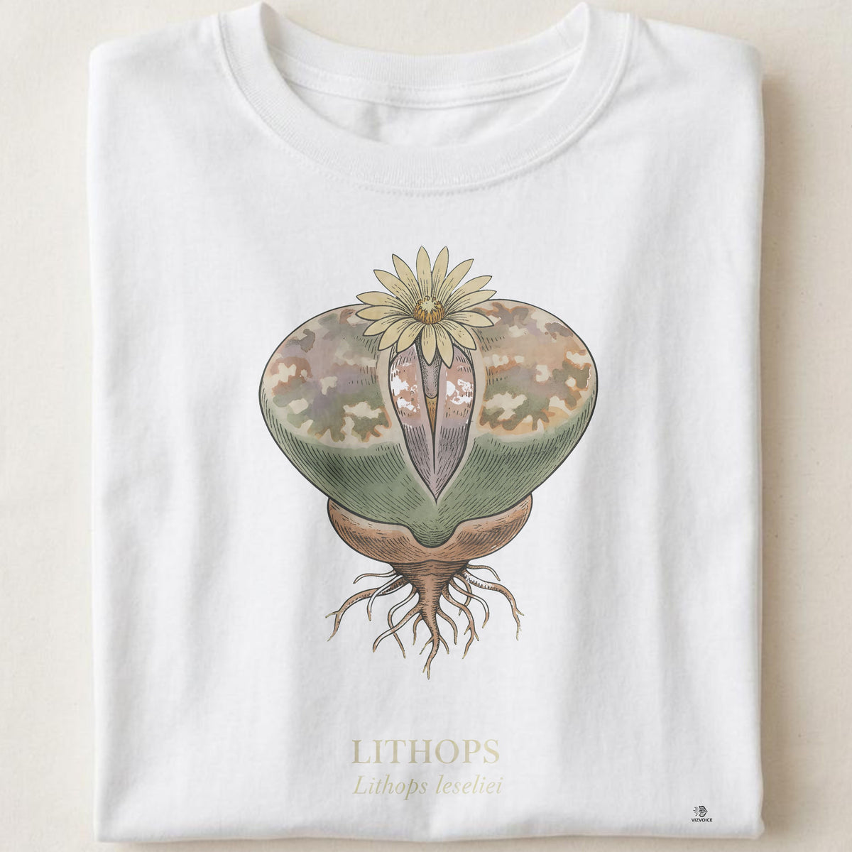 Lithops Botanical Art T-Shirt | Vintage Succulent Illustration