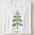 Lemon Balm Botanical Art T-Shirt | Vintage Herb Illustration - close up