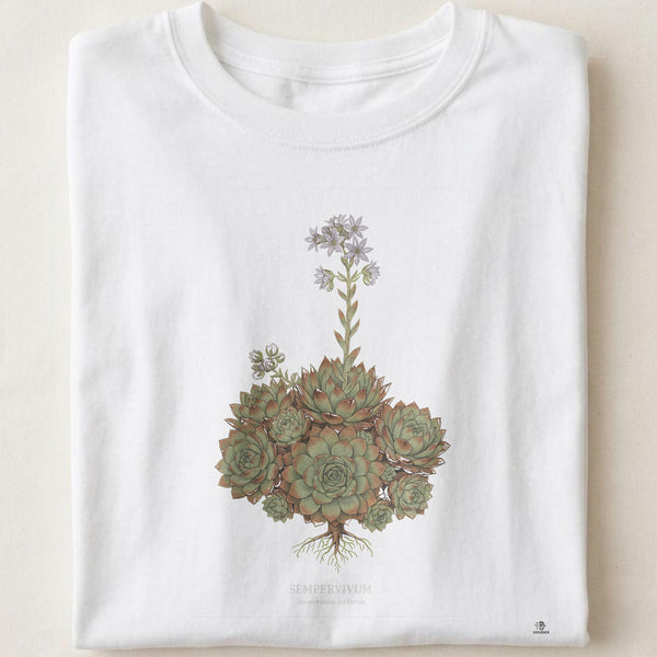 Succulents & Cacti