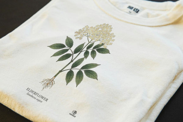 Elderflower Botanical Art T-Shirt | Vintage Etching & Watercolor Design