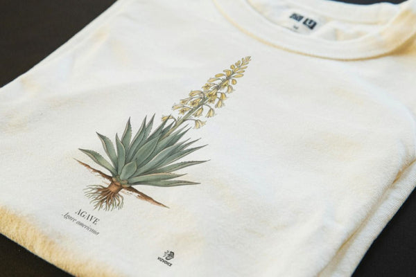 Agave Botanical Art T-Shirt | Vintage Etching & Watercolor Design