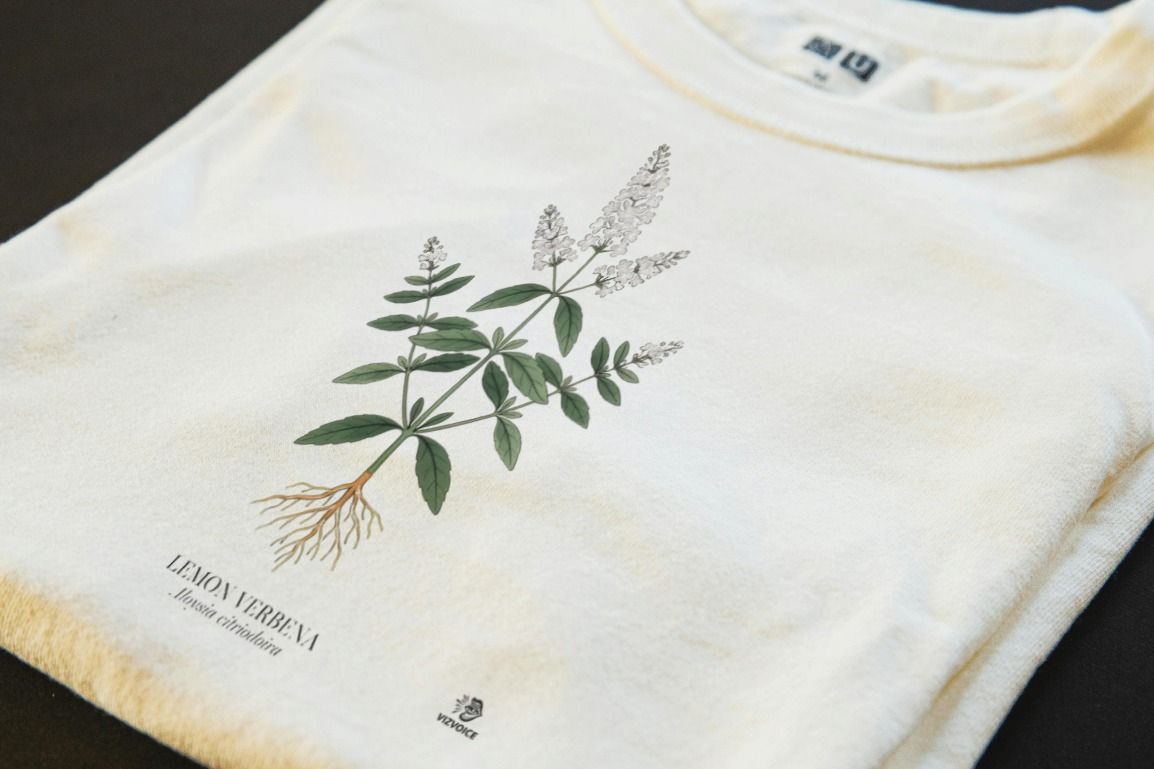 Lemon Verbena Botanical Art T-Shirt | A Vintage Inspired Design