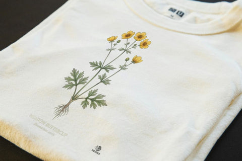Meadow Buttercup Botanical Art T-Shirt | Vintage Wildflower Design