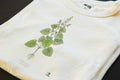 Lemon Balm Botanical Art T-Shirt | Vintage Herb Illustration