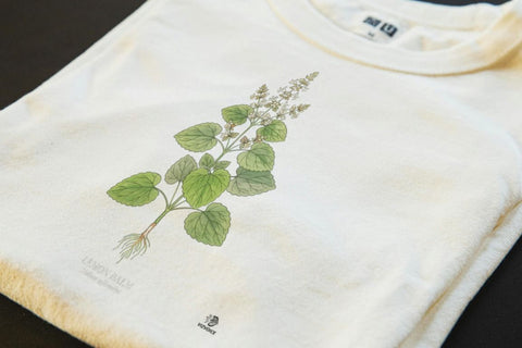 Lemon Balm Botanical Art T-Shirt | Vintage Herb Illustration
