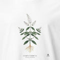 Lemon Verbena Botanical Art T-Shirt | A Vintage Inspired Design - accurate print preview
