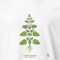 Lemon Balm Botanical Art T-Shirt | Vintage Herb Illustration - accurate print preview