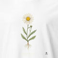 Oxeye Daisy Botanical Art T-Shirt | Vintage Wildflower Design - accurate print preview