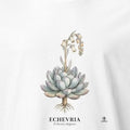 Echeveria Botanical Art T-Shirt | Vintage Botanical Elegance - accurate print preview