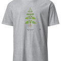 Lemon Balm Botanical Art T-Shirt | Vintage Herb Illustration - accurate print preview