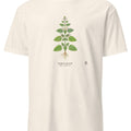 Lemon Balm Botanical Art T-Shirt | Vintage Herb Illustration - accurate print preview