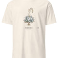 Echeveria Botanical Art T-Shirt | Vintage Botanical Elegance - accurate print preview