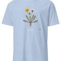 Dandelion Botanical Art T-Shirt | Vintage Etching Inspired Design - accurate print preview