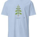 Lemon Balm Botanical Art T-Shirt | Vintage Herb Illustration - accurate print preview