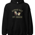 STUDIO RAT BY CHOICE | Cozy Music & Arts Hoodie - accurate print preview