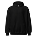 CHAOS IN MIND ORDER IN NOTES | Funny Music Hoodie - accurate print preview