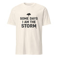 SOME DAYS I AM THE STORM | Sarcastic Hot Mess T-Shirt - flat